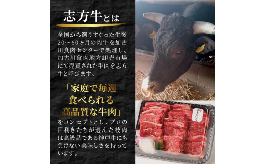 ★選べる配送月★【12月発送】志方牛カルビ焼肉《 牛肉 牛 和牛 国産 焼肉 おすすめ カルビ 赤身 美味しい バーベキュー 志方牛 プレゼント ギフト 送料無料 お取り寄せ 》【2401A00202-00】