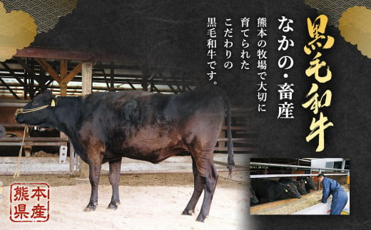 熊本県産 黒毛和牛 A4 以上 切り落とし 1kg 肉 牛肉 国産