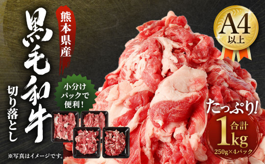 熊本県産 黒毛和牛 A4 以上 切り落とし 1kg 肉 牛肉 国産