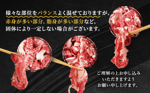 熊本県産 黒毛和牛 A4 以上 切り落とし 1kg 肉 牛肉 国産