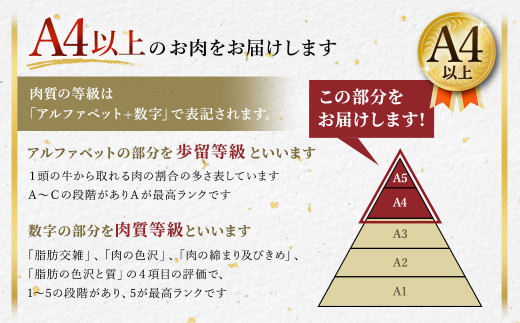 熊本県産 黒毛和牛 A4 以上 切り落とし 1kg 肉 牛肉 国産