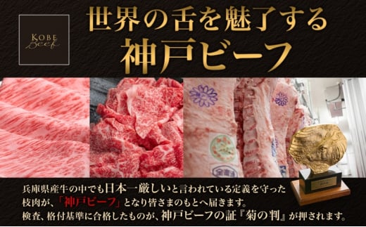 神戸ビーフ　焼肉用 500g [№5275-0168]