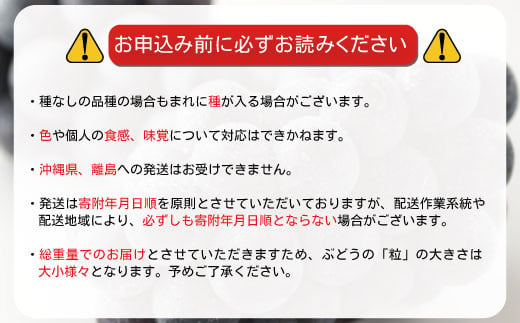 [No.5657-3325]訳あり ナガノパープル 約1kg（パック詰め）《信州グルメ市場》■2025年発送■※8月下旬頃～9月下旬頃まで順次発送予定