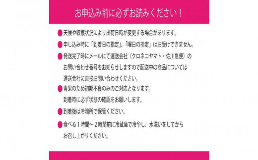 [HS]【定期便 全2回】ぶどう 2025年 先行予約 9月・10月発送 シャイン マスカット 晴王 1房 約700g【ブドウ 葡萄  岡山県産 国産 フルーツ 果物 ギフト】