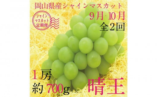 [HS]【定期便 全2回】ぶどう 2025年 先行予約 9月・10月発送 シャイン マスカット 晴王 1房 約700g【ブドウ 葡萄  岡山県産 国産 フルーツ 果物 ギフト】