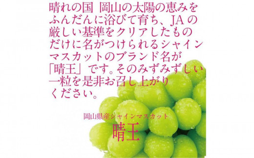 [HS]【定期便 全2回】ぶどう 2025年 先行予約 9月・10月発送 シャイン マスカット 晴王 1房 約700g【ブドウ 葡萄  岡山県産 国産 フルーツ 果物 ギフト】