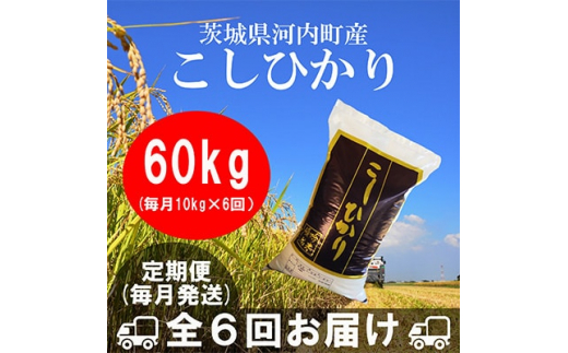 ＜毎月定期便＞茨城県河内町産コシヒカリ10kg 全6回【4004895】