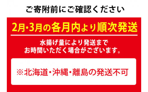 【0301103b】＜定期便・全2回(2月・3月)＞「冬の鮮魚BOX」朝獲れ発送！鮮魚問屋が厳選したおまかせ鮮魚(約2kg程度×2回)魚 魚介類 鮮魚 海鮮 詰め合わせ セット 刺身 天ぷら 煮つけ 塩焼き【江川商店】