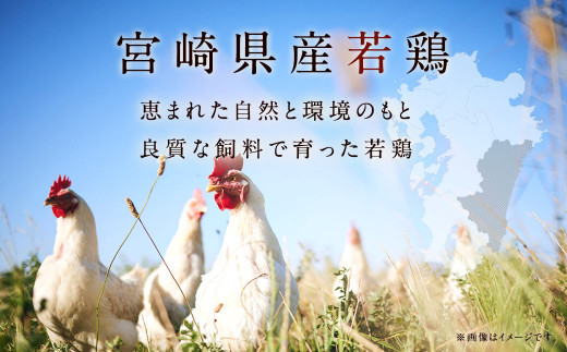 ＜【2025年1月発送】宮崎県産若鶏6kgセット＞