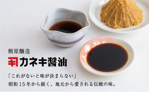 【蔵元直送】鹿児島の調味料詰合せ（5種） 醤油 甘口 だし めんつゆ 酢 味噌 煮物 天ぷら そうめん 鍋物 ギフト 贈答用 常温 南さつま市