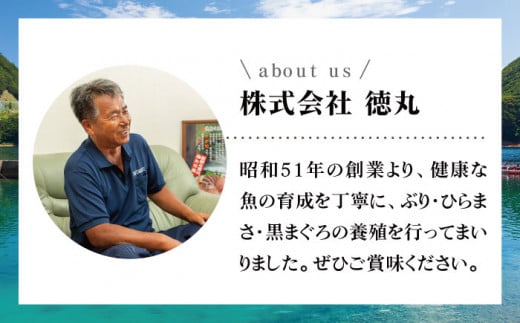 【数量限定！】【濃厚で脂があま～い！】金太郎 マグロ 腹側 冷凍 ブロック 大トロ 赤身 約800g【徳丸】 [RAC008]