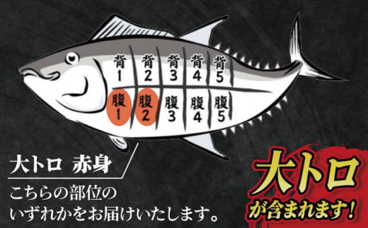 【数量限定！】【濃厚で脂があま～い！】金太郎 マグロ 腹側 冷凍 ブロック 大トロ 赤身 約800g【徳丸】 [RAC008]