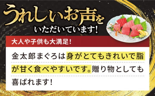 【数量限定！】【濃厚で脂があま～い！】金太郎 マグロ 腹側 冷凍 ブロック 大トロ 赤身 約800g【徳丸】 [RAC008]