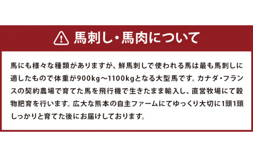 希少 生食用 馬レバー  約80g