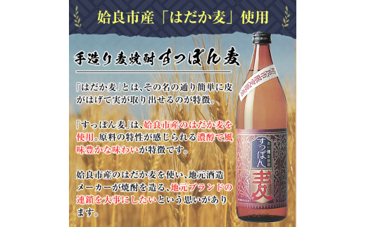 a537 鹿児島本格芋焼酎×麦焼酎飲み比べ！蔵人の五感を駆使して造り上げた「姶良市」と姶良市限定販売の麦焼酎「すっぽん麦」(各1800ml)の焼酎呑み比べ一升瓶「姶良市セット」【白金酒造】