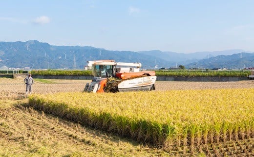 日永園 ヒノヒカリ 白米5kg 2024年10月上旬より順次出荷