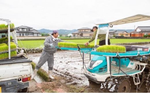 日永園 ヒノヒカリ 白米5kg 2024年10月上旬より順次出荷