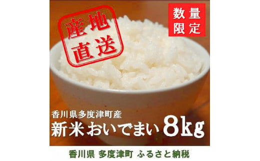 多度津町産 新米 おいでまい【令和6年産新米:11月頃より発送】（白米８kg）【A-11】