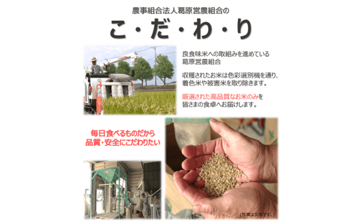 多度津町産 新米 おいでまい【令和6年産新米:11月頃より発送】（白米８kg）【A-11】