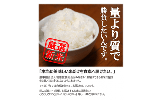 多度津町産 新米 おいでまい【令和6年産新米:11月頃より発送】（白米８kg）【A-11】