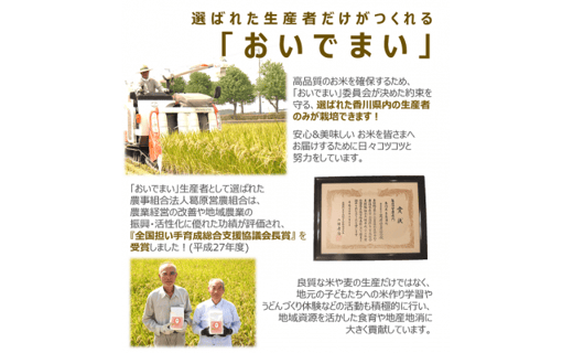 多度津町産 新米 おいでまい【令和6年産新米:11月頃より発送】（白米８kg）【A-11】