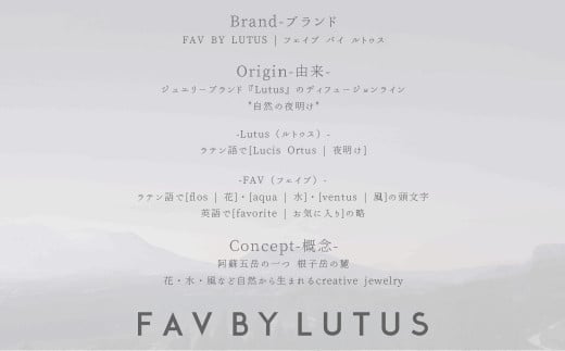 【FAV BY LUTUS（フェイブバイルトゥス）】モアサナイト 1カラット ネックレス