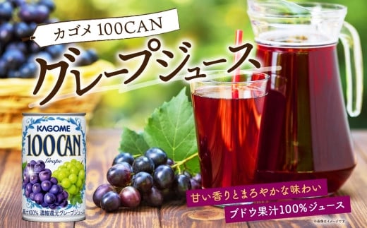 カゴメ 100CAN 160g × 6缶 濃縮還元 グレープジュース 100％ ジュース 砂糖不使用 フルーツジュース かごめ 果汁 果肉 グレープ ぶどう 葡萄 ブドウ フルーツ 飲料 ドリンク 缶 果物 お取り寄せ ギフト 差し入れ 缶ジュース KAGOME 送料無料 那須塩原市 ns038-009