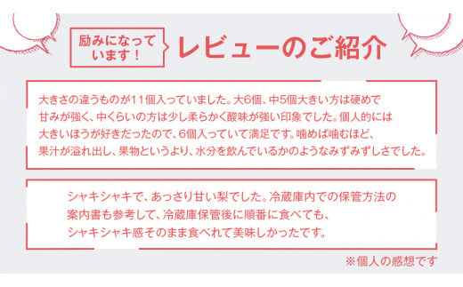 梨 新高 10kg （20～26個）【令和6年10月より発送開始】（茨城県共通返礼品：石岡市産）田舎の頑固おやじが厳選！ なし 新高梨 和梨 フルーツ 果物 くだもの 高糖度 ギフト 茨城 