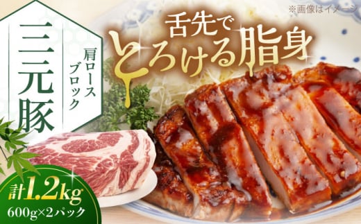  肉 豚肉 ロース ブロック ローストポーク 煮豚 酢豚 煮物 冷凍配送 