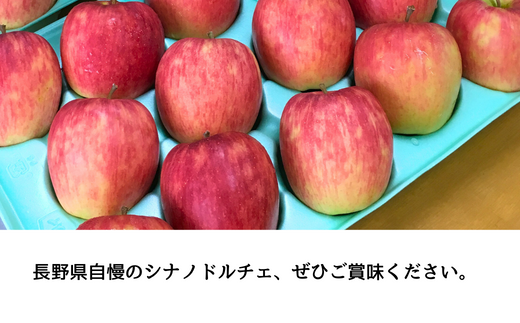 KR06-24A  りんご シナノドルチェ （大玉） 家庭用  約5㎏ / 9月中旬頃～配送予定 // 南信州産 長野県 りんご シナノドルチェ 約5kg