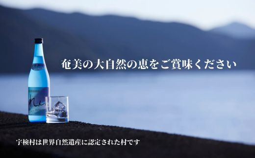 黒糖焼酎れんと25度　五合瓶（箱なし）　900ml×48本