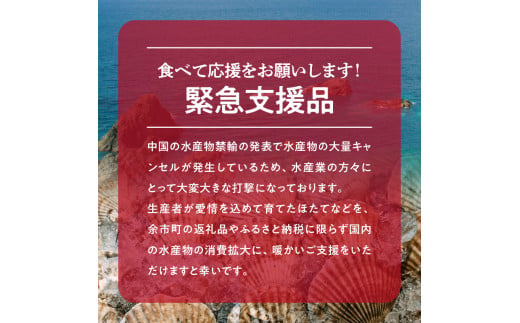 【緊急支援品】北海道産　ほたて貝柱  1kg  4Sサイズ