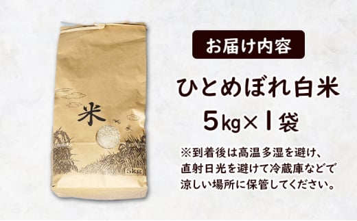 盛岡 大櫻農園  「ひとめぼれ　白米」5kg 特別栽培 一等米 2024年産新米