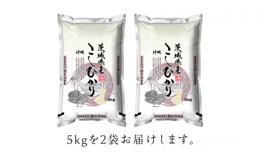 【新米】令和6年産 茨城 こしひかり 10kg（5kg×2本） 精米 茨城県 国産 お米 米 コメ 白米 ライス ご飯 おいしい コシヒカリ ごはん 新生活 プレゼント 新生活応援 必要なもの 便利 おすすめ 消耗品 一人暮らし 二人暮らし 必要