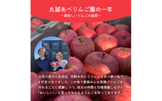 りんご 訳あり 5kg 青森 【2025年1月後半発送】 サンふじ