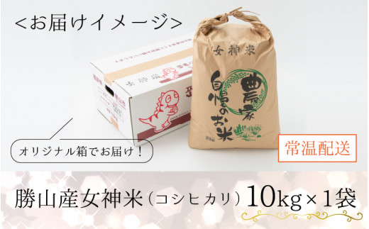 令和5年産 コシヒカリ 勝山産女神（おながみ）米 10kg×1袋 [B-042002]