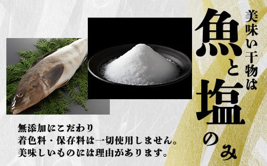 真ほっけ一汐干し 250g×5枚(gset-11) ふるさと納税 真ほっけ一汐干し ほっけ ホッケ 干物 開き 千葉県 大網白里市 AJ006