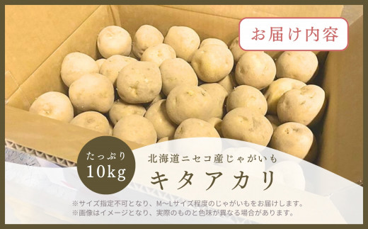 《2024年分受付中》甘くてほくほく!北海道ニセコ名産「キタアカリ」新じゃが10kg/高橋農園【37005】