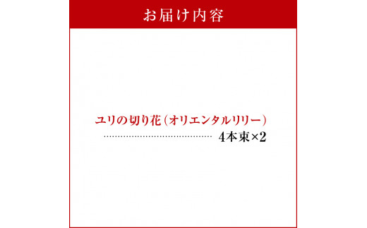 ユリの切り花オリエンタルリリー沖永良部島名産4本束×2（12月中旬から5月中旬）　C048-002