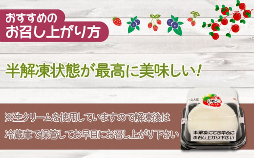 北海道産 フルーツたっぷり使用！シャーベット＆生クリーム大福詰合せ 【ふるさと納税 人気 おすすめ ランキング 果物 いちごイチゴ 苺 イチゴシャーベット 果肉 大福大容量 詰合せ おいしい 美味しい 甘い 北海道 豊浦町 送料無料】 TYUN040