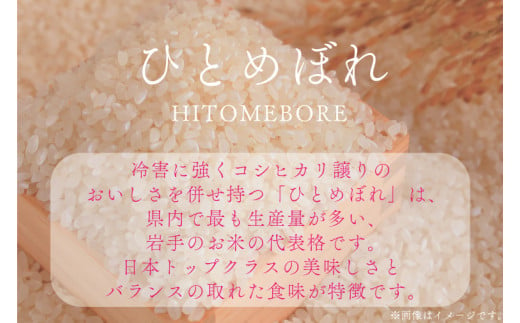 ＼数量限定／ 令和6年産 ひとめぼれ 精米 10kg | 米 お米 コメ 精米 白米 ヒトメボレ 岩手県紫波町 (DZ001)