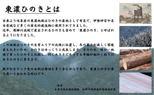 ひのきチップのサシェ6個とひのきオイル30mlセット【アロマ エッセンシャルオイル 精油 リラックス 】【飛騨フォレスト】