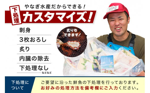 この男魅せる！～浜田の旨い鮮魚6回お届けコース～ プレミアム 鮮魚 定期便 6回 セット 詰め合わせ お取り寄せ 旬 【1703】