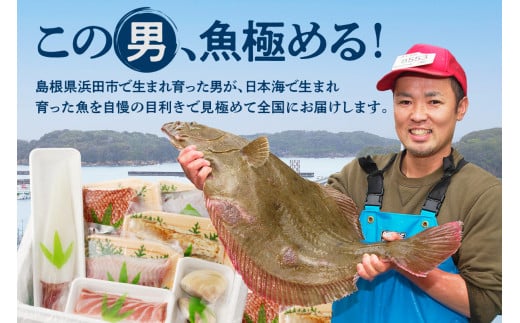 この男魅せる！～浜田の旨い鮮魚6回お届けコース～ プレミアム 鮮魚 定期便 6回 セット 詰め合わせ お取り寄せ 旬 【1703】