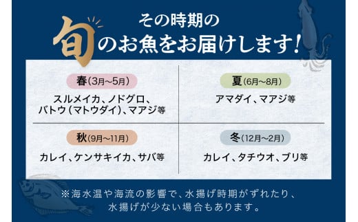 この男魅せる！～浜田の旨い鮮魚6回お届けコース～ プレミアム 鮮魚 定期便 6回 セット 詰め合わせ お取り寄せ 旬 【1703】