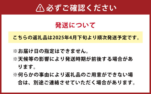 水俣 サラダ玉ねぎ 10kg 玉ねぎ サラダ