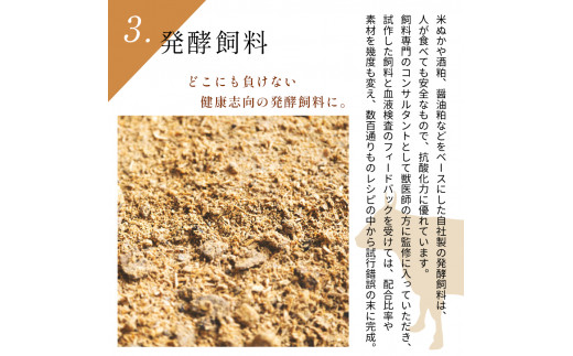 梶岡牛 肩ロース焼肉・こま切れ ｜ 牛肉 肉 にく お取り寄せ グルメ 肩ロース 焼肉 こま切れ セット 詰め合わせ 冷凍 特産品 熟成 長期飼育 山口 美祢市 美祢