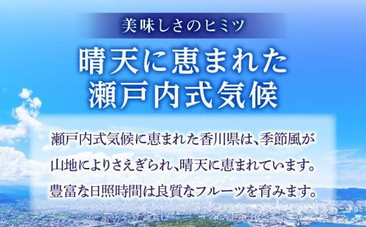 さぬきエンジェルスイート(小玉)　約1.6kg【2024年11月中旬～2025年2月上旬配送】