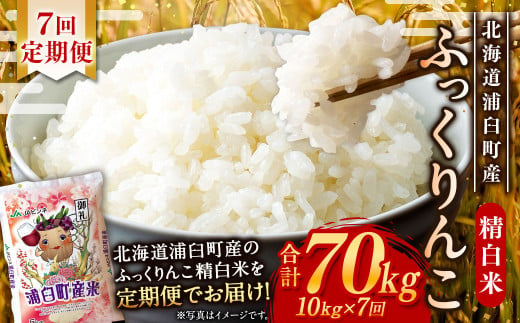 【7回定期便】浦臼産ふっくりんこ 精白米 10kg（5kg×2袋）