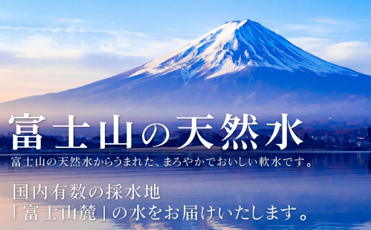 【12ヶ月定期便】富士山麓 四季の水 / 500ml×48本(2 箱 )×12ヶ月 計576本・ ミネラルウォーター 水 飲料水 天然水 非常 備え 防災 地震 台風 津波 天災 災害  軟水 ペットボトル 備蓄 災害用 家庭備蓄 アウトドア キャンプ 定期便